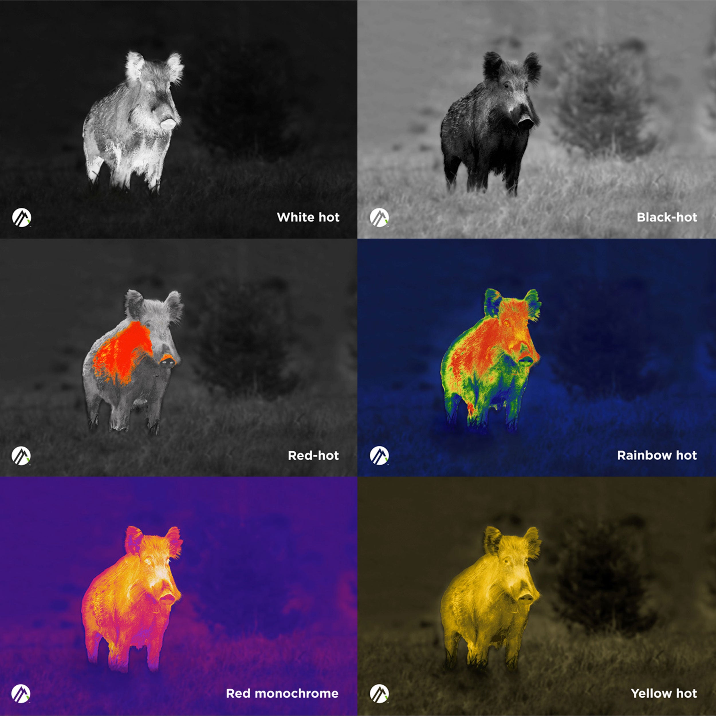 Apex 35mm Thermal Monocular