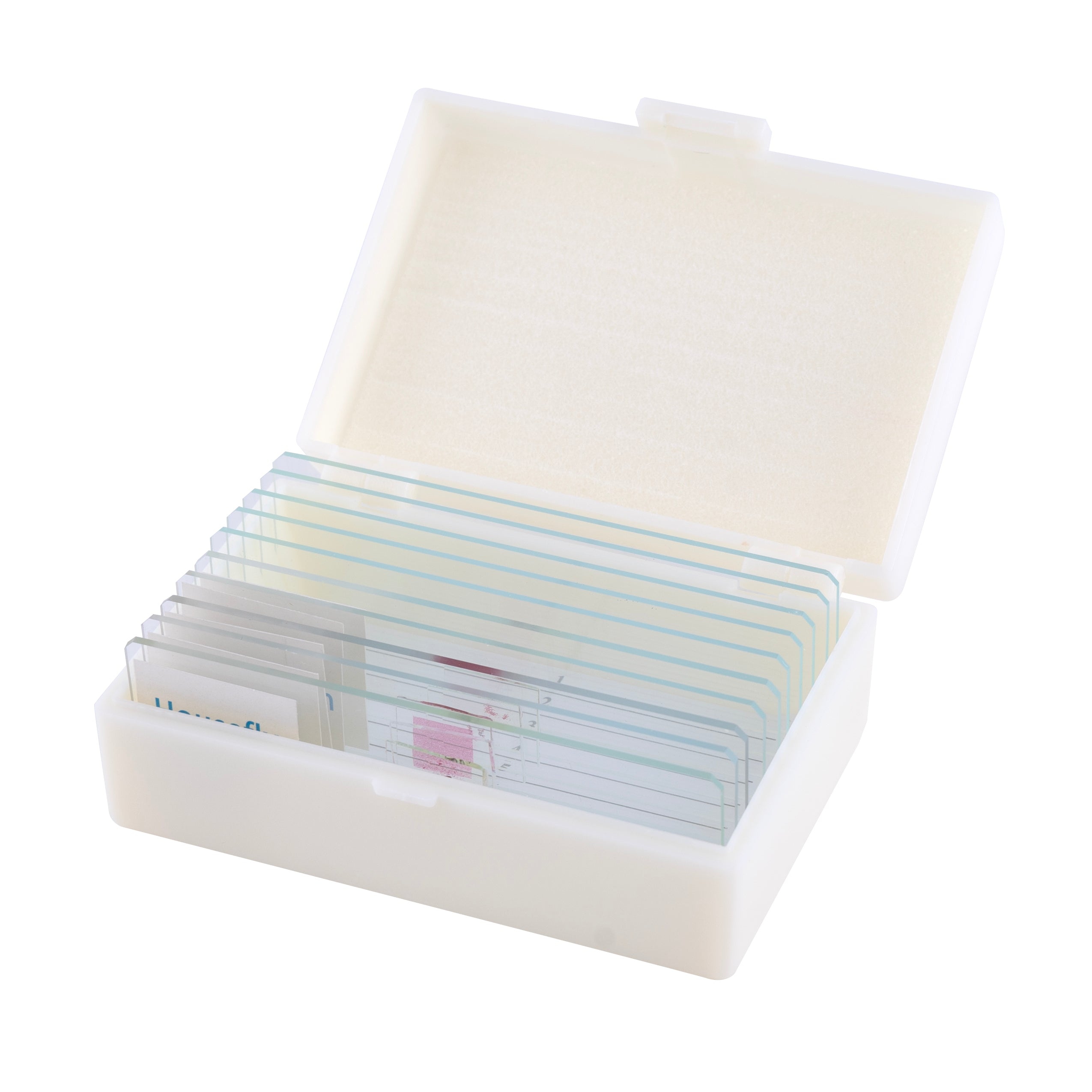 Microscope LCD National Geographic 40X-1600X