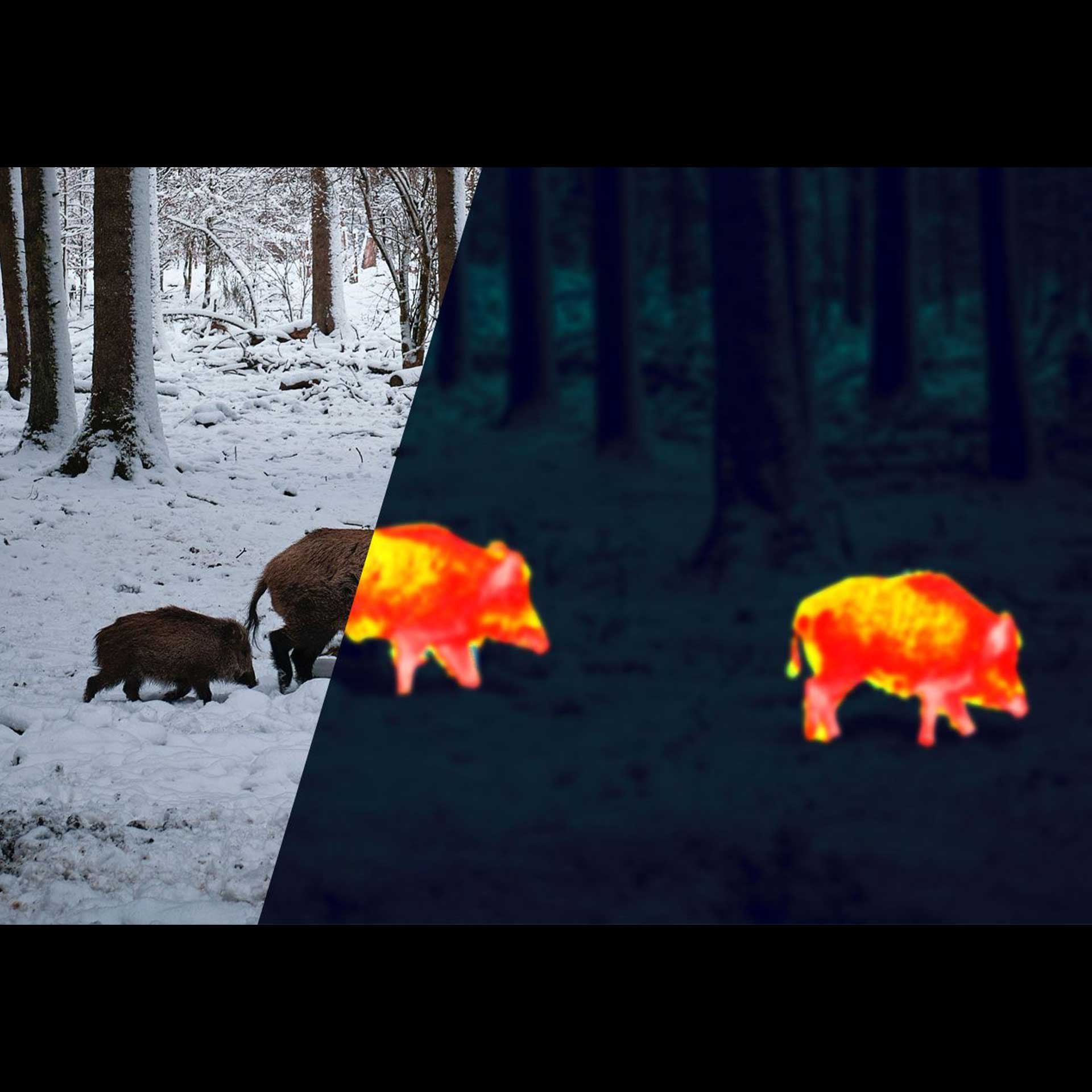 Apex 35mm Thermal Monocular