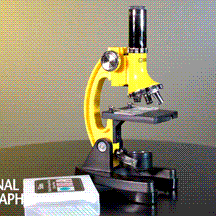 National Geographic 300x-1200x Microscope with Hard Case